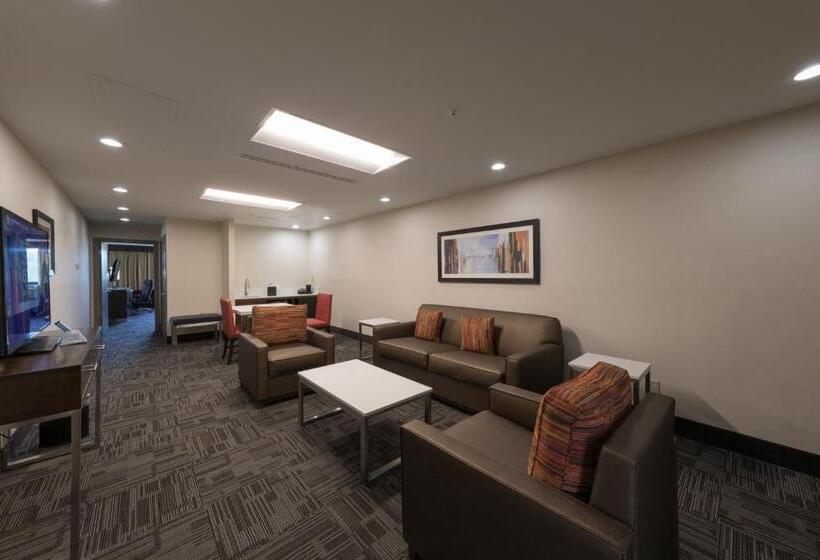 جناح لذوى الاحتياجات الخاصة, Holiday Inn Brookfield   Milwaukee, An Ihg