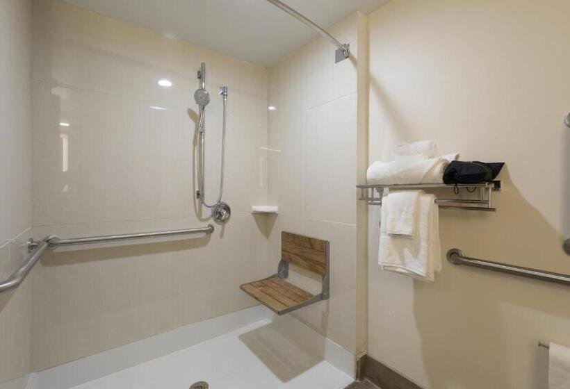 Люкс Адаптированный для Инвалидов, Holiday Inn Brookfield   Milwaukee, An Ihg