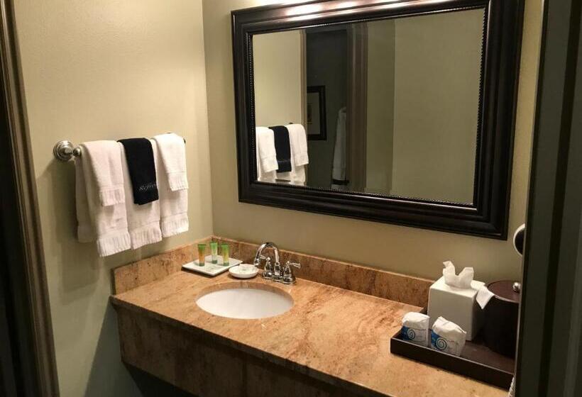 غرفة قياسية, Driftwood Lodge