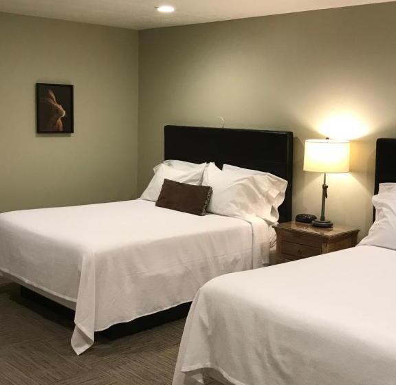 غرفة قياسية, Driftwood Lodge