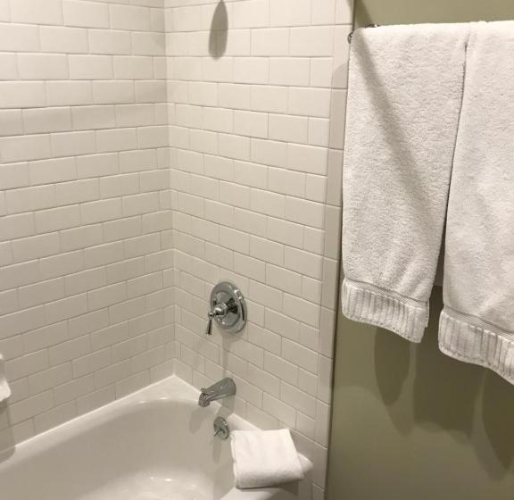 غرفة قياسية سرير كينج, Driftwood Lodge