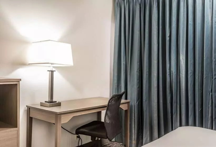 اتاق استاندارد با 2 تخت دوبل, Everspring Inn And Suites