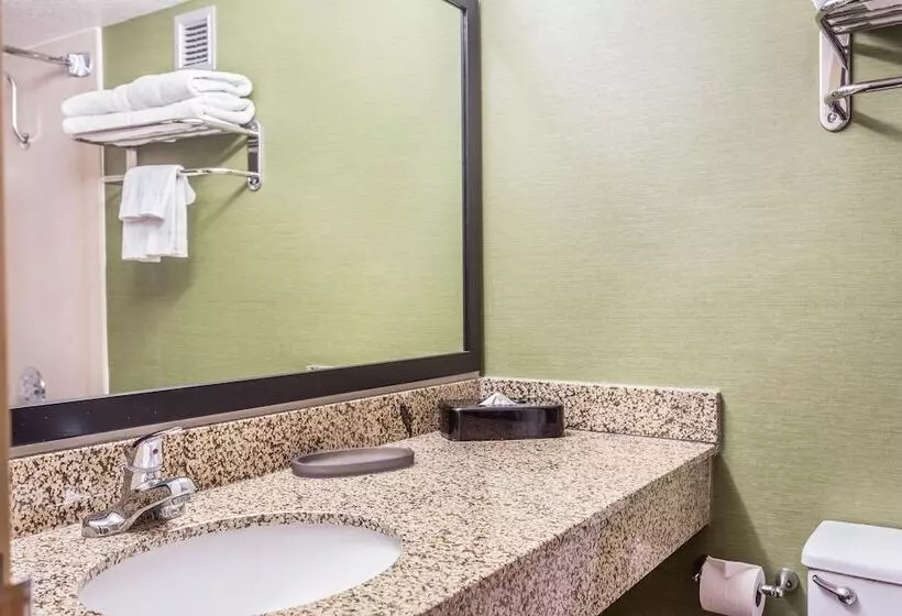 اتاق استاندارد با تخت دوبل, Everspring Inn And Suites