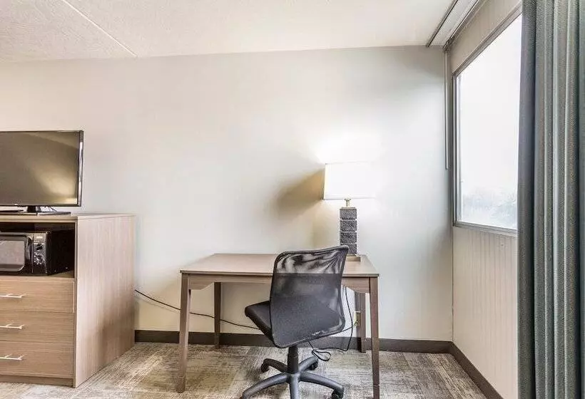 اتاق استاندارد با تخت دوبل, Everspring Inn And Suites