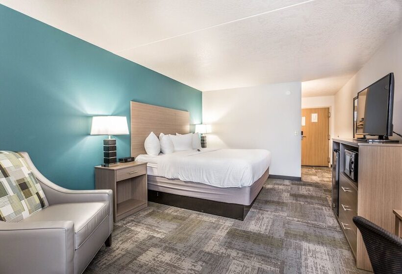 חדר סטנדרט מיטה זוגית, Everspring Inn And Suites