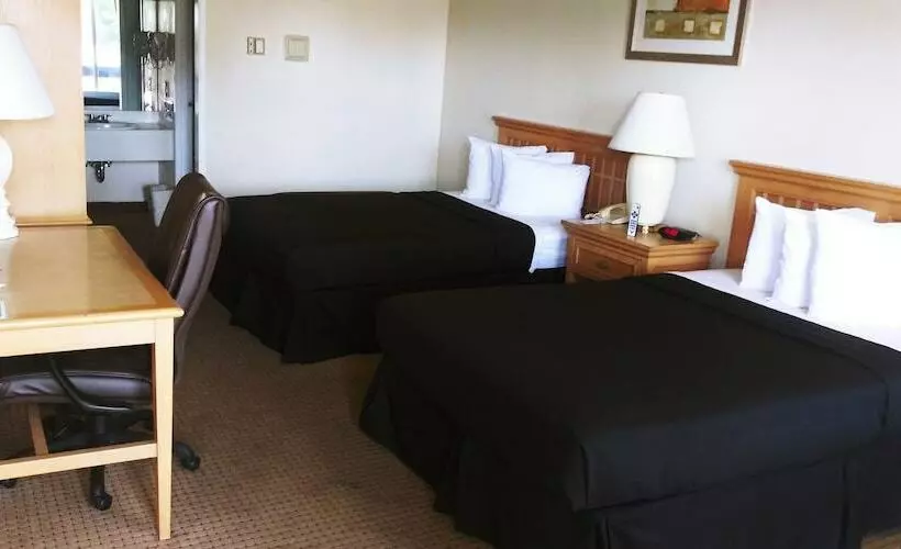 اتاق استاندارد با 2 تخت دوبل, Gt Hotels Inn & Suites Extended Stay