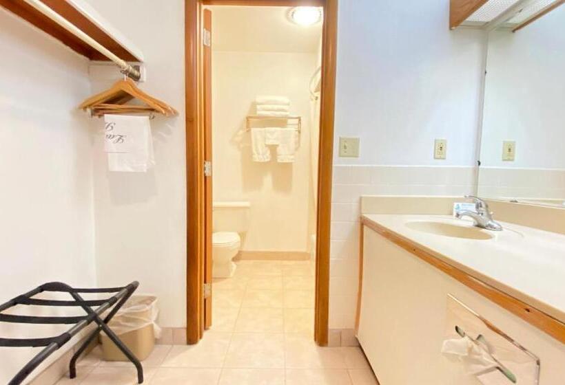 חדר סטנדרט לארבעה, Magnuson Copper Crown