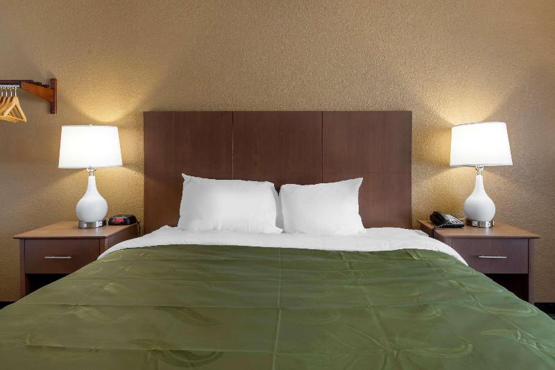 장애인을 위한 킹사이즈 침대 스탠다드 룸, Quality Inn Saint Petersburg Northtampa Bay