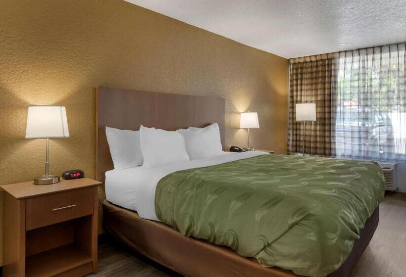 스탠다드 룸 킹사이즈 침대, Quality Inn Saint Petersburg Northtampa Bay