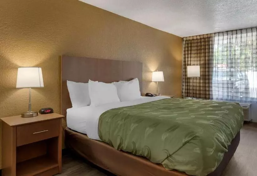 キングサイズベッドのスタンダードルーム, Quality Inn Saint Petersburg Northtampa Bay