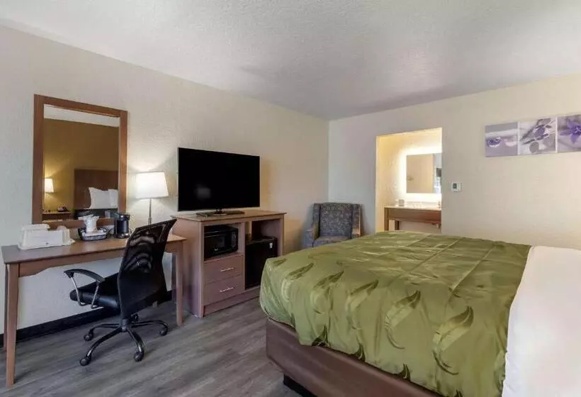 キングサイズベッドのスタンダードルーム, Quality Inn Saint Petersburg Northtampa Bay