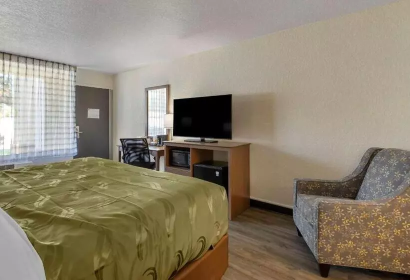 キングサイズベッドのスタンダードルーム, Quality Inn Saint Petersburg Northtampa Bay