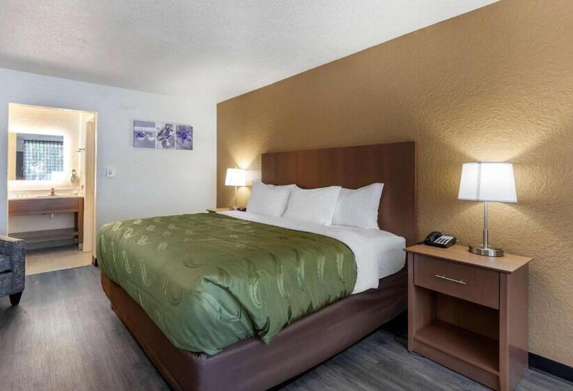 스탠다드 룸 킹사이즈 침대, Quality Inn Saint Petersburg Northtampa Bay
