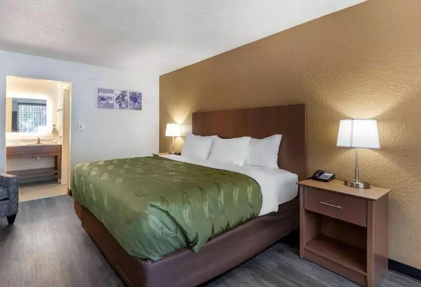 キングサイズベッドのスタンダードルーム, Quality Inn Saint Petersburg Northtampa Bay