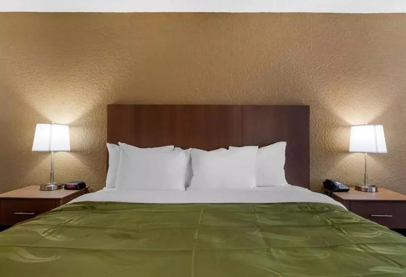 キングサイズベッドのスタンダードルーム, Quality Inn Saint Petersburg Northtampa Bay