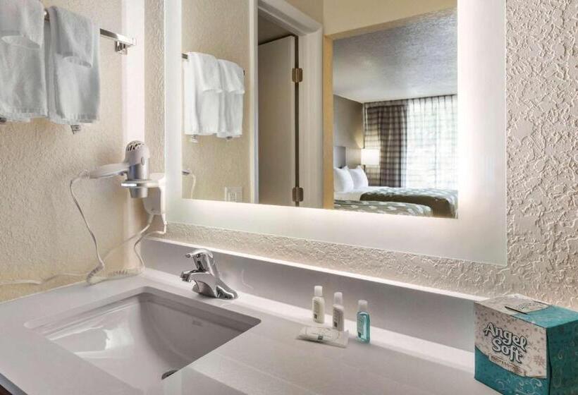 스탠다드 룸, Quality Inn Saint Petersburg Northtampa Bay