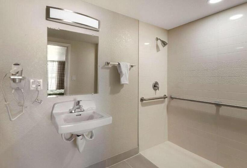 장애인을 위한 킹사이즈 침대 스탠다드 룸, Quality Inn Saint Petersburg Northtampa Bay