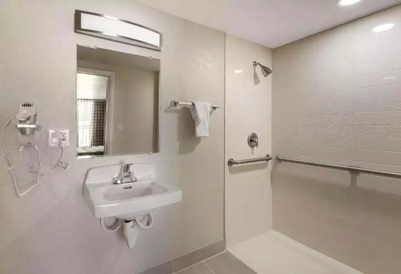身障者適用キングサイズベッドルーム, Quality Inn Saint Petersburg Northtampa Bay