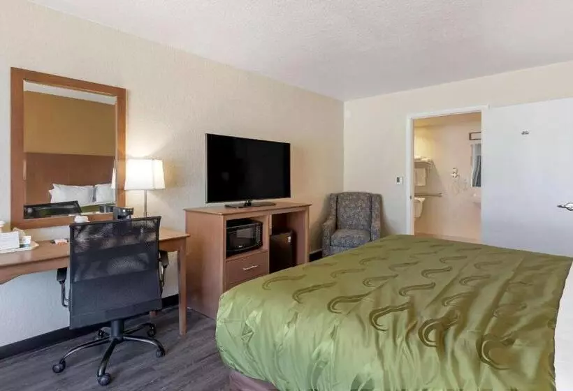 身障者適用キングサイズベッドルーム, Quality Inn Saint Petersburg Northtampa Bay