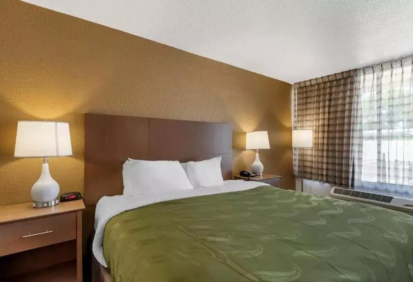 身障者適用キングサイズベッドルーム, Quality Inn Saint Petersburg Northtampa Bay