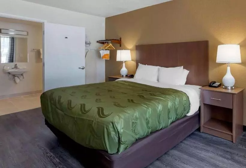 身障者適用キングサイズベッドルーム, Quality Inn Saint Petersburg Northtampa Bay