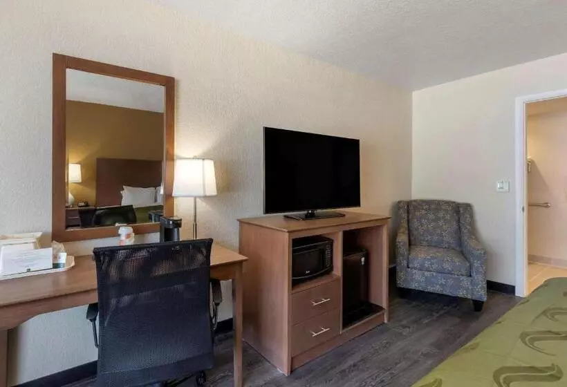 身障者適用キングサイズベッドルーム, Quality Inn Saint Petersburg Northtampa Bay