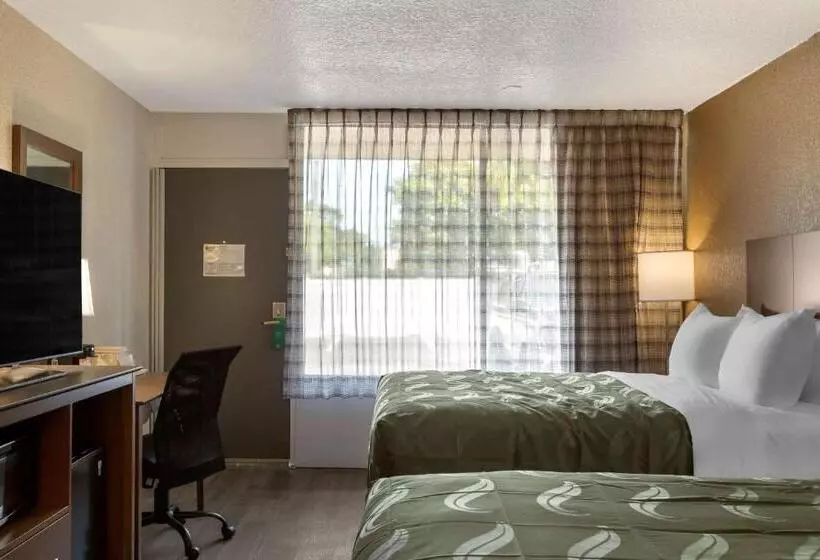 身障者適用スタンダードルーム, Quality Inn Saint Petersburg Northtampa Bay