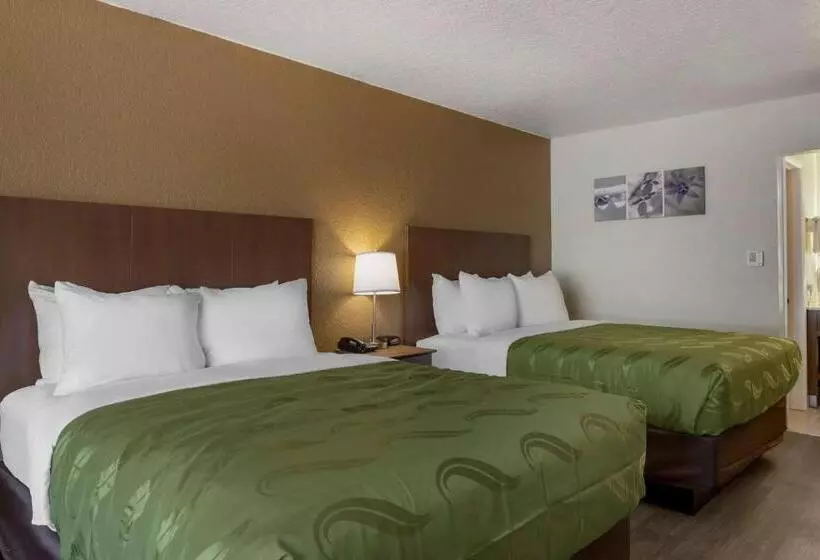 身障者適用スタンダードルーム, Quality Inn Saint Petersburg Northtampa Bay