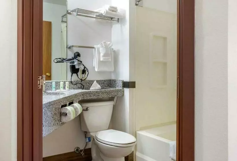 スタンダードルーム, Quality Inn & Suites