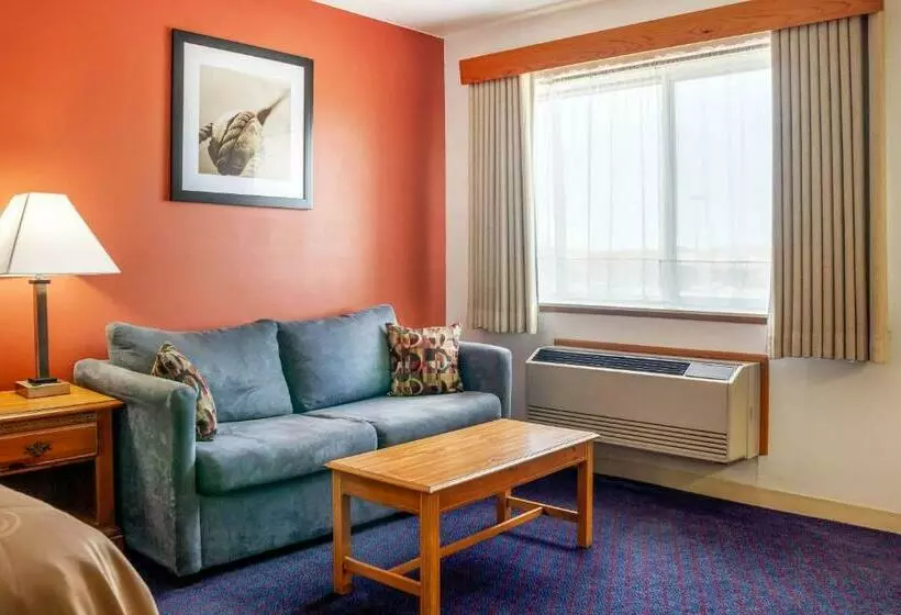キングサイズベッドのスタンダードルーム, Quality Inn & Suites