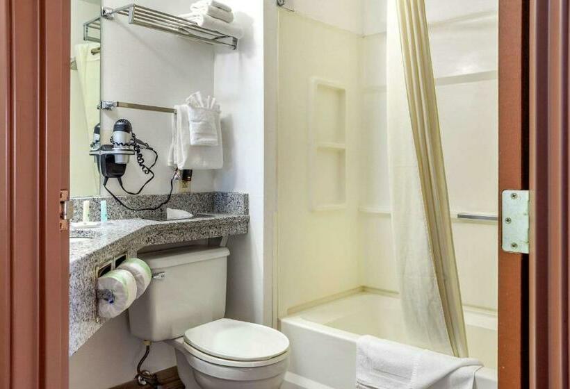 غرفة قياسية سرير كينج, Quality Inn & Suites