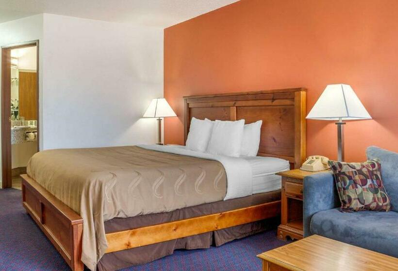 غرفة قياسية سرير كينج, Quality Inn & Suites