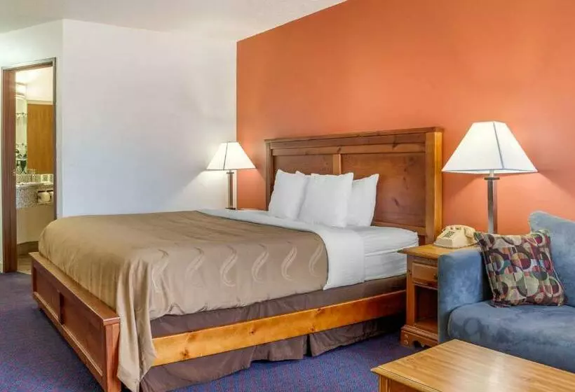 キングサイズベッドのスタンダードルーム, Quality Inn & Suites
