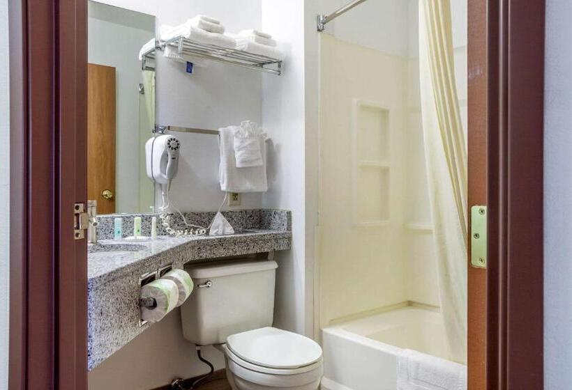 스탠다드 룸, Quality Inn & Suites