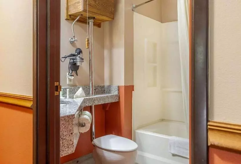 キングサイズベッドのスイートルーム, Quality Inn & Suites
