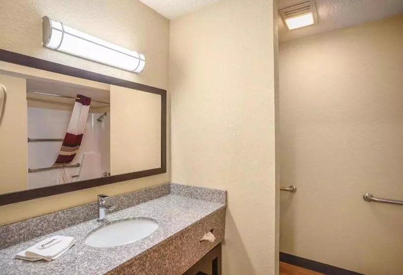 اتاق سوپریور با تخت بزرگ, Red Roof Inn Des Moines