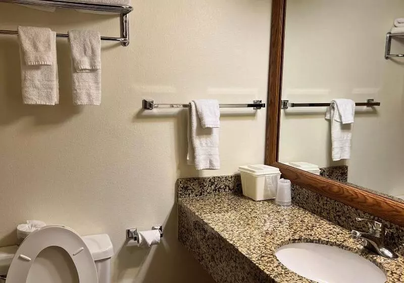 キングサイズベッドのスタンダードルーム, Serena Inn & Suites  Sundance