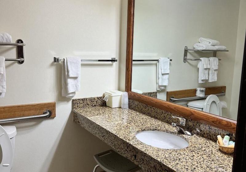 스탠다드 룸 킹사이즈 침대, Serena Inn & Suites Sundance