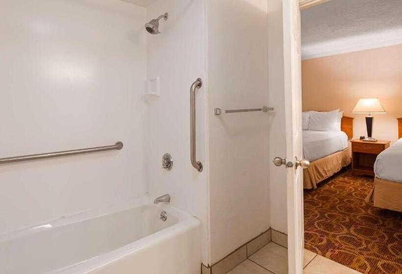 Номер Стандарт Адаптированный для Инвалидов, Sturgis Lodge And Suites