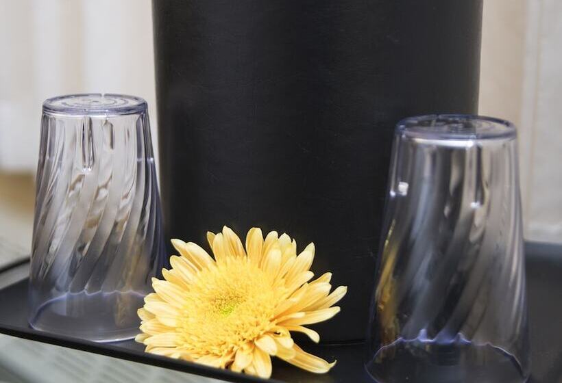 غرفة قياسية سرير كينج, The Landing