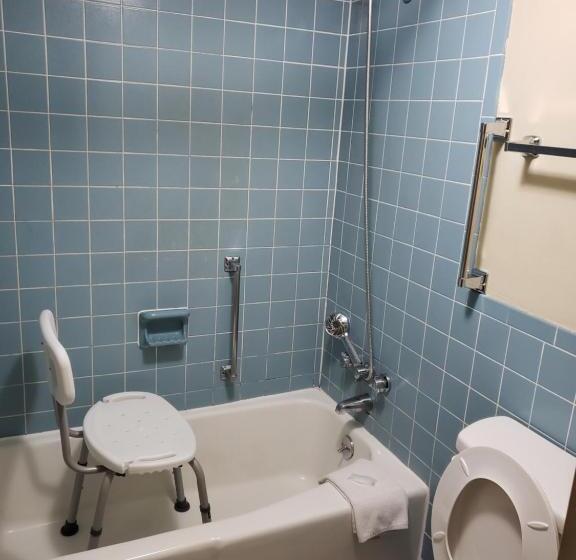 غرفة قياسية لذوى الاحتياجات الخاصة, Mountain Home Inn