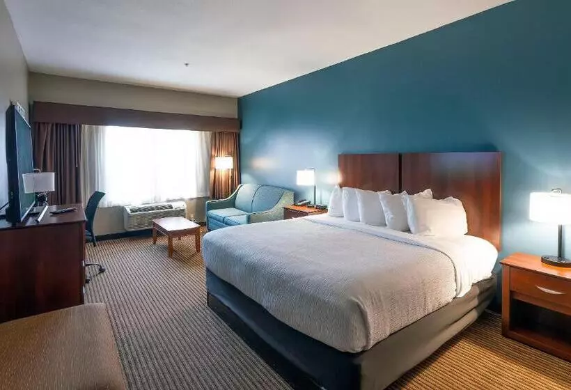 キングサイズベッドのスタンダードルーム, The Hotel Saratoga, Ascend Hotel Collection