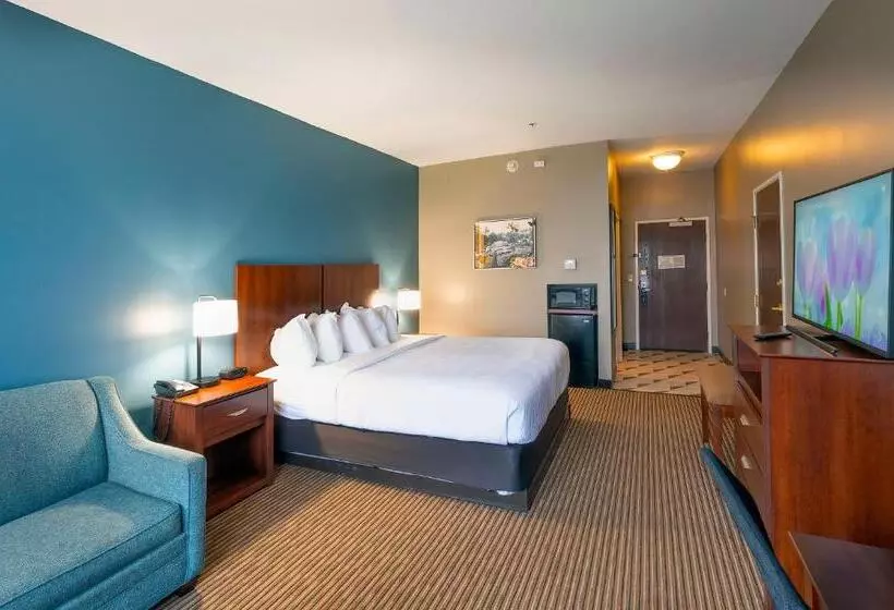キングサイズベッドのスタンダードルーム, The Hotel Saratoga, Ascend Hotel Collection
