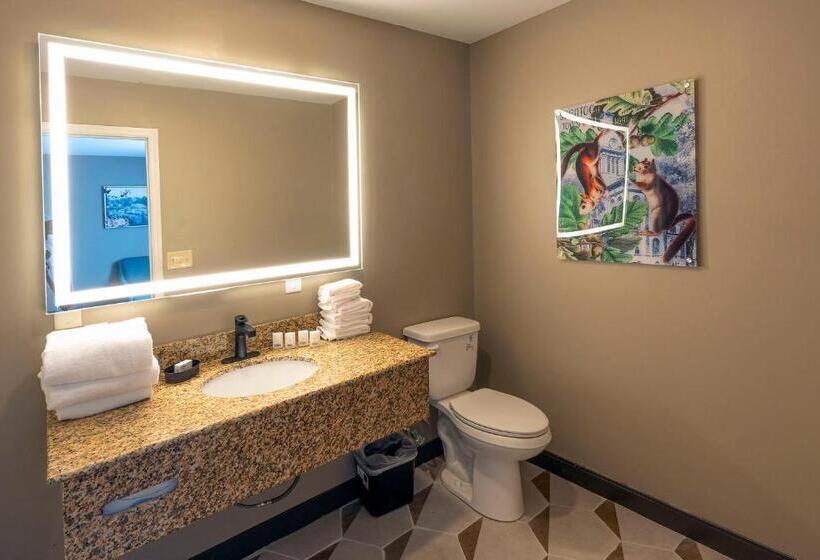 스위트, The Hotel Saratoga, Ascend Hotel Collection