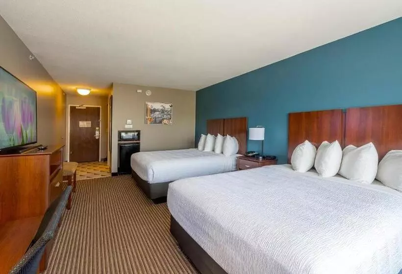 スタンダード４人部屋, The Hotel Saratoga, Ascend Hotel Collection