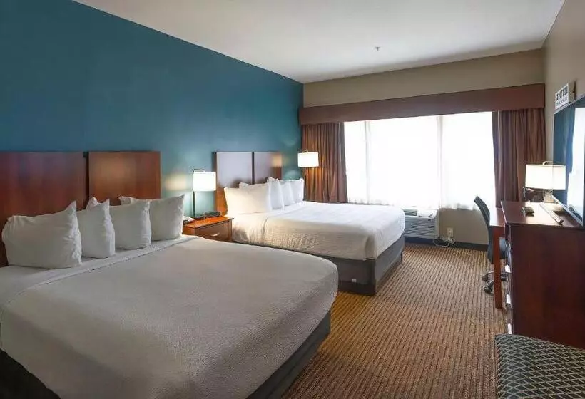 スタンダード４人部屋, The Hotel Saratoga, Ascend Hotel Collection