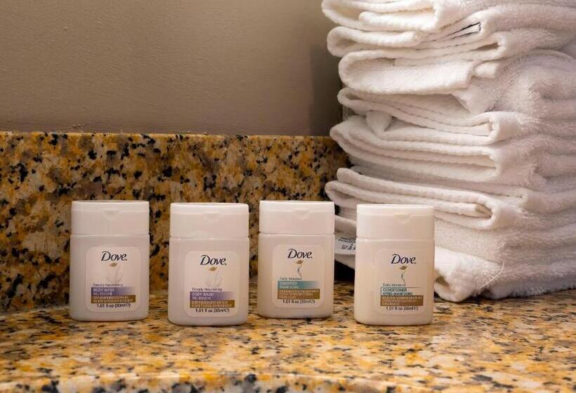 身障者適用スイートルーム, The Hotel Saratoga, Ascend Hotel Collection