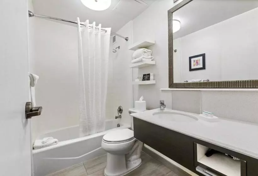 اتاق استاندارد, Allentown Park Hotel, Ascend Hotel Collection