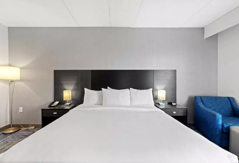 اتاق استاندارد با تخت بزرگ, Allentown Park Hotel, Ascend Hotel Collection