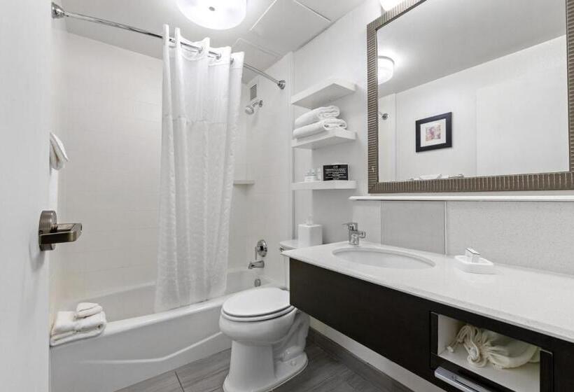 高级大房间, Allentown Park Hotel, Ascend Hotel Collection